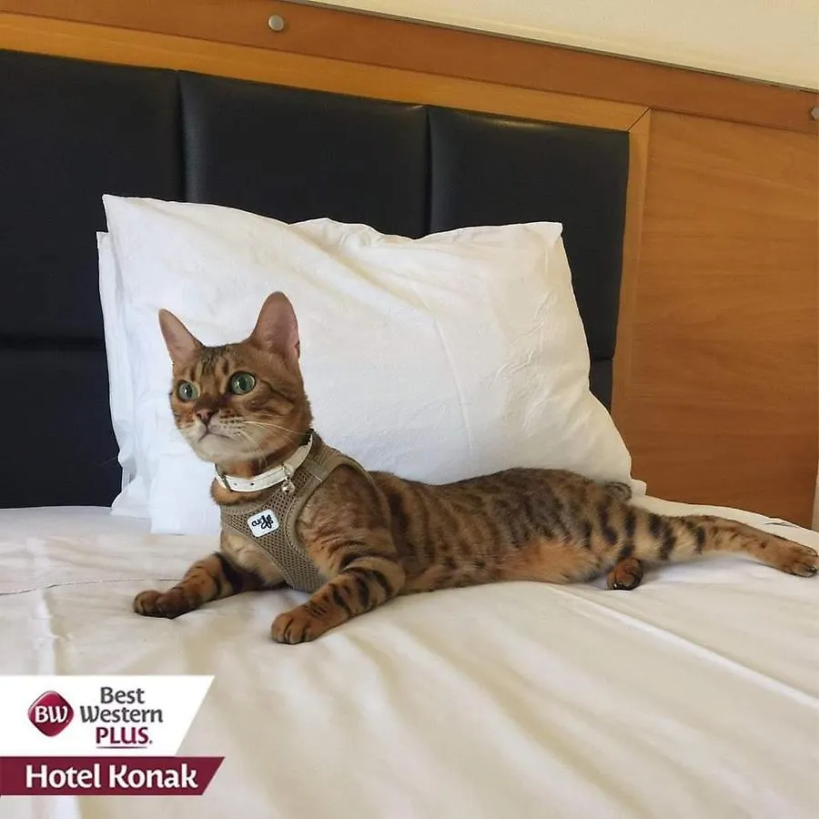 Best Western Plus Hotel Konak İzmir 4*,